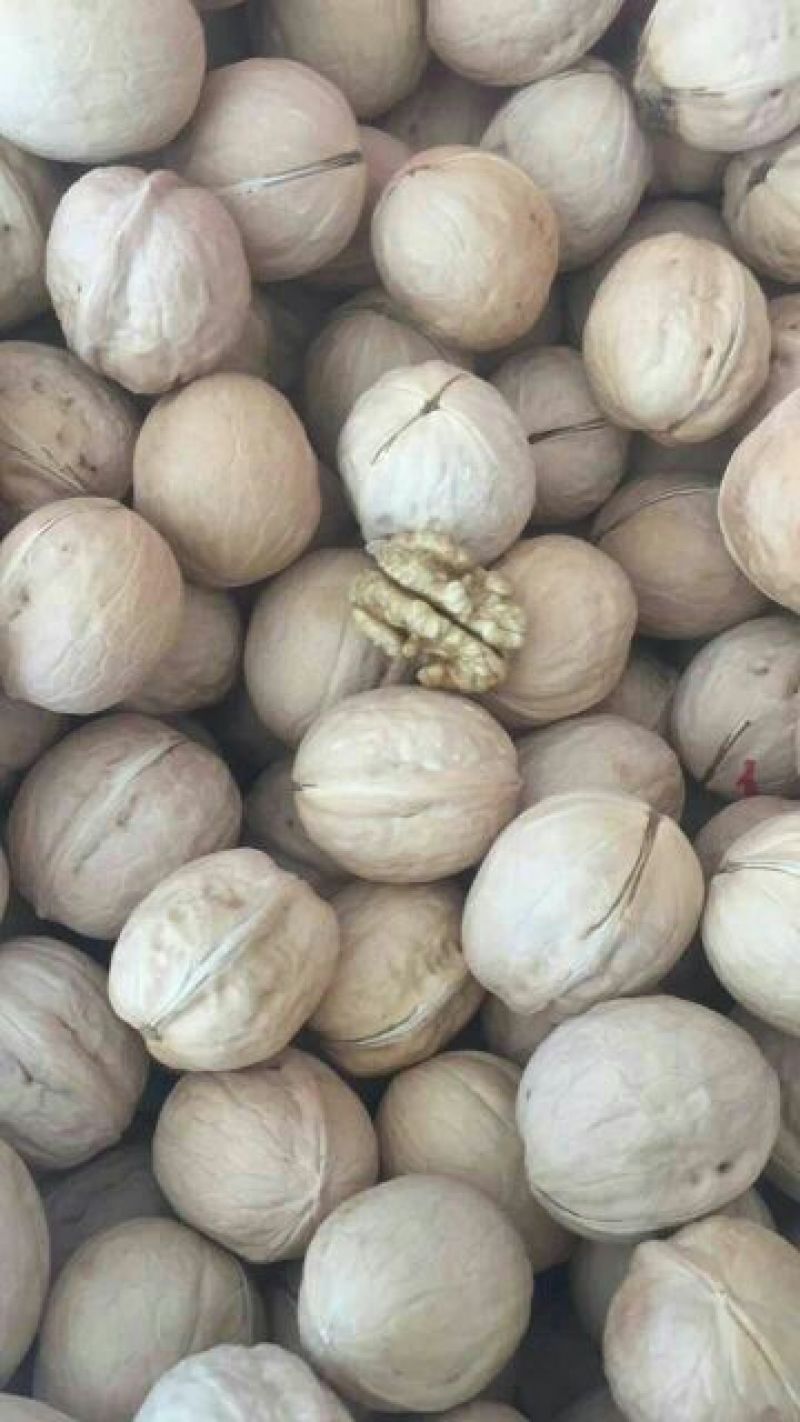 产地直发新疆三三核桃纸皮核桃新疆幸福皮薄仁饱现货