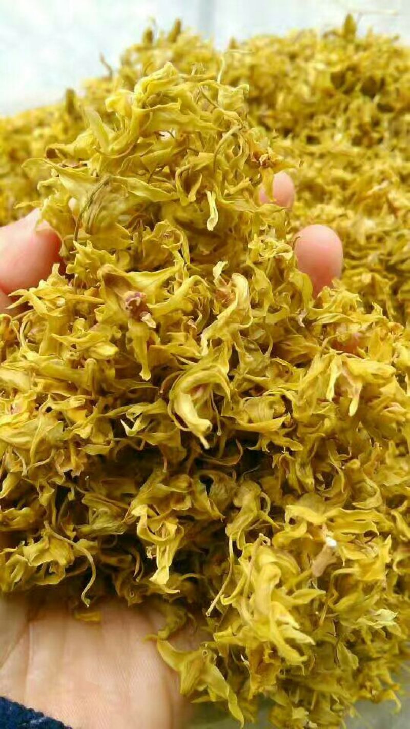 铁皮石斛干花雁荡山仿野生