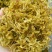 铁皮石斛干花雁荡山仿野生