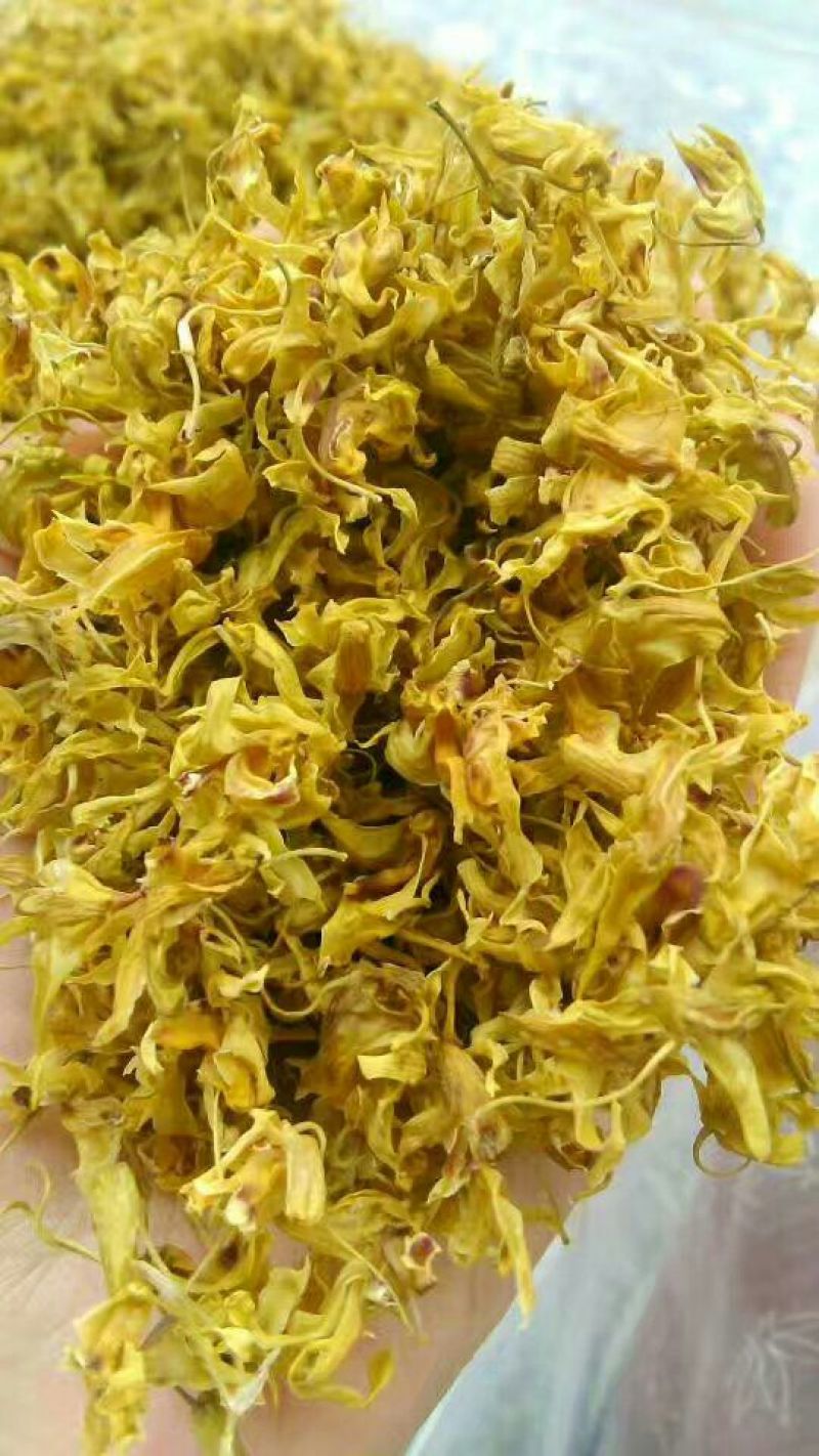 铁皮石斛干花雁荡山仿野生