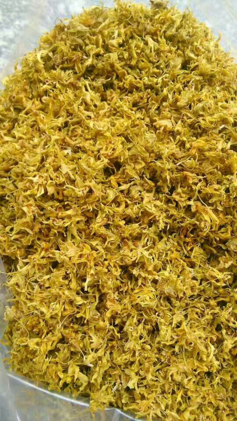 铁皮石斛干花雁荡山仿野生