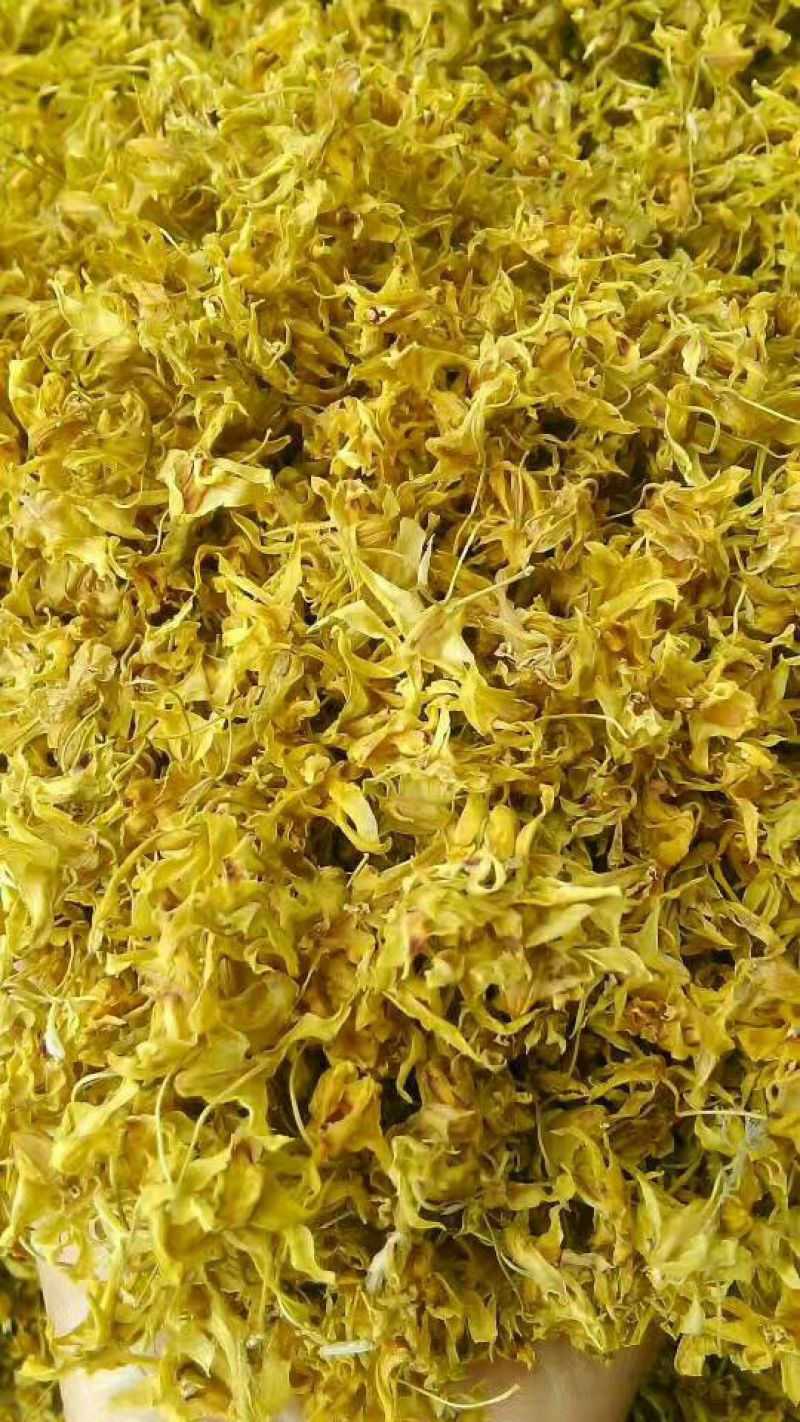 铁皮石斛干花雁荡山仿野生