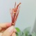 牛肉干牦牛肉鲜肉
