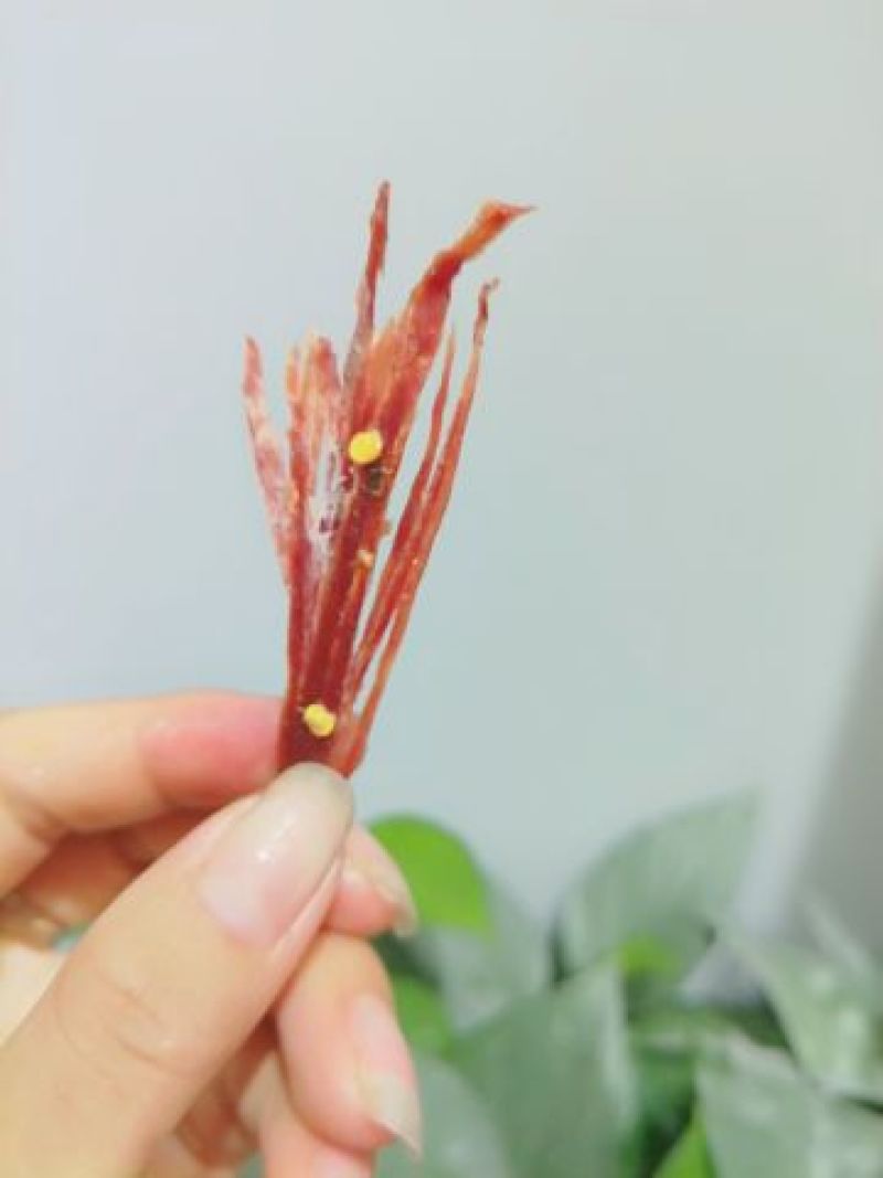 牛肉干牦牛肉鲜肉