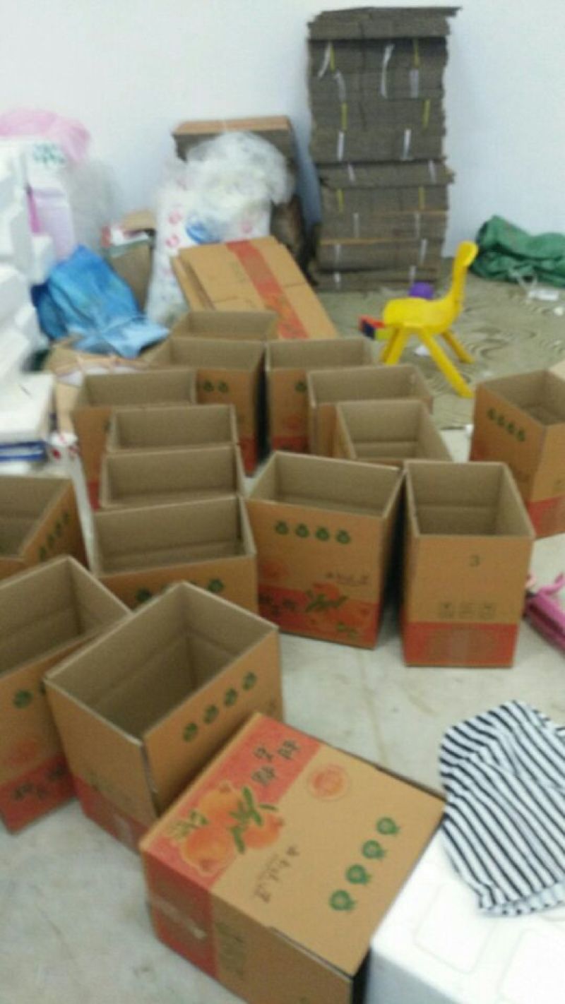甜绿籽石榴6两~8两