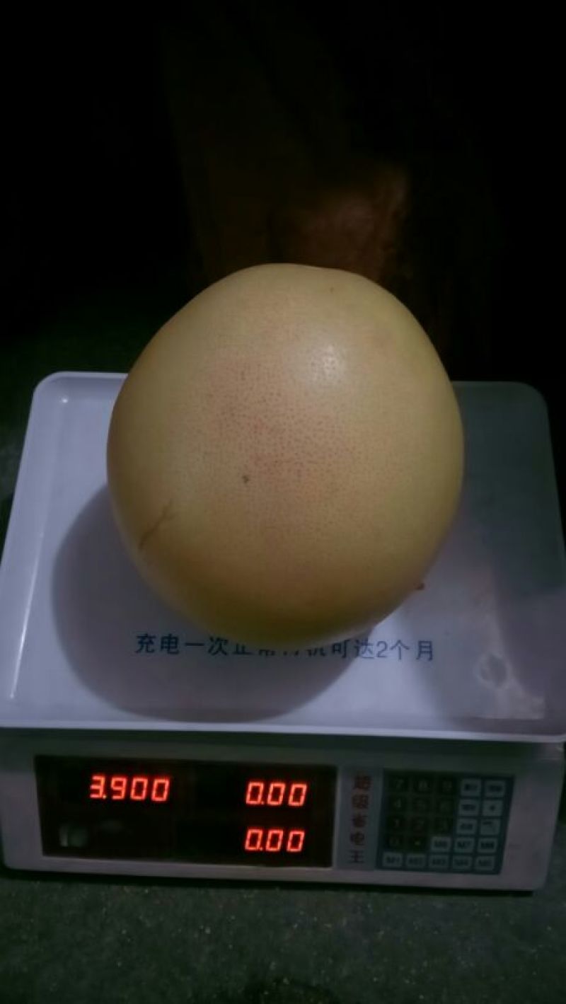 红心柚1.8斤以上