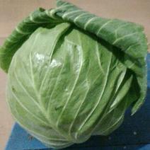 绿甘蓝精品0.5~1公斤