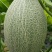 西州蜜瓜娇蜜25品种