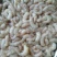 红虾食用冻虾
