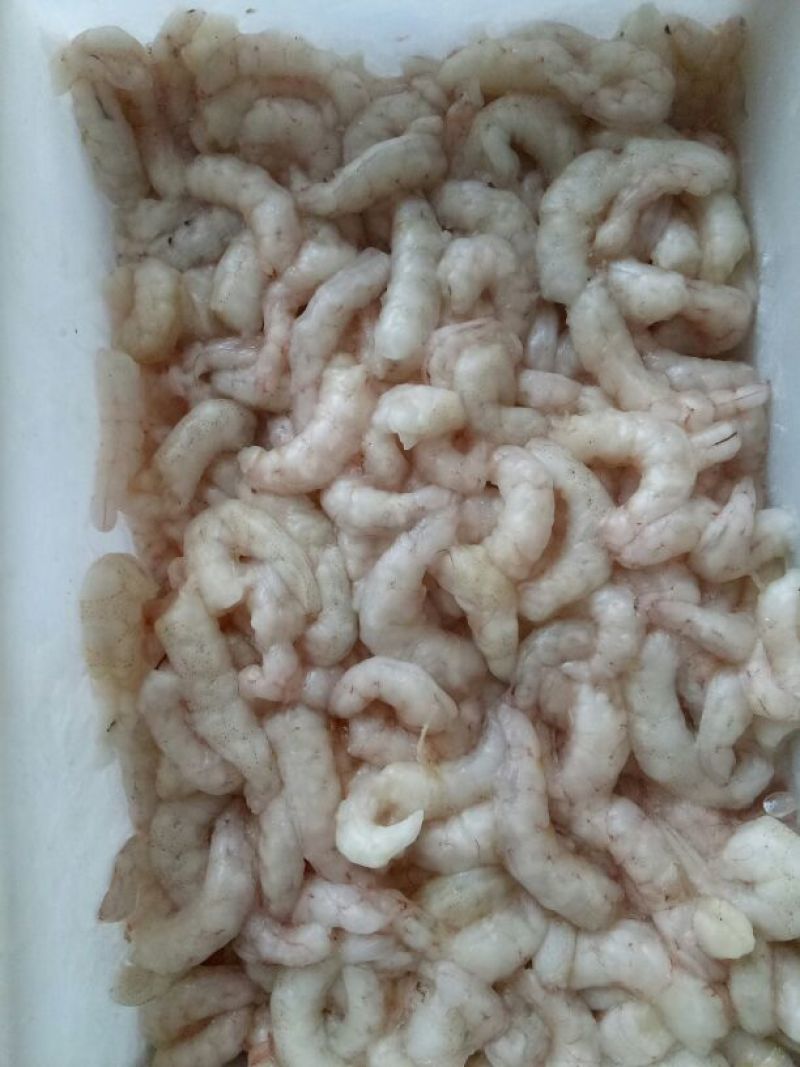 红虾食用冻虾