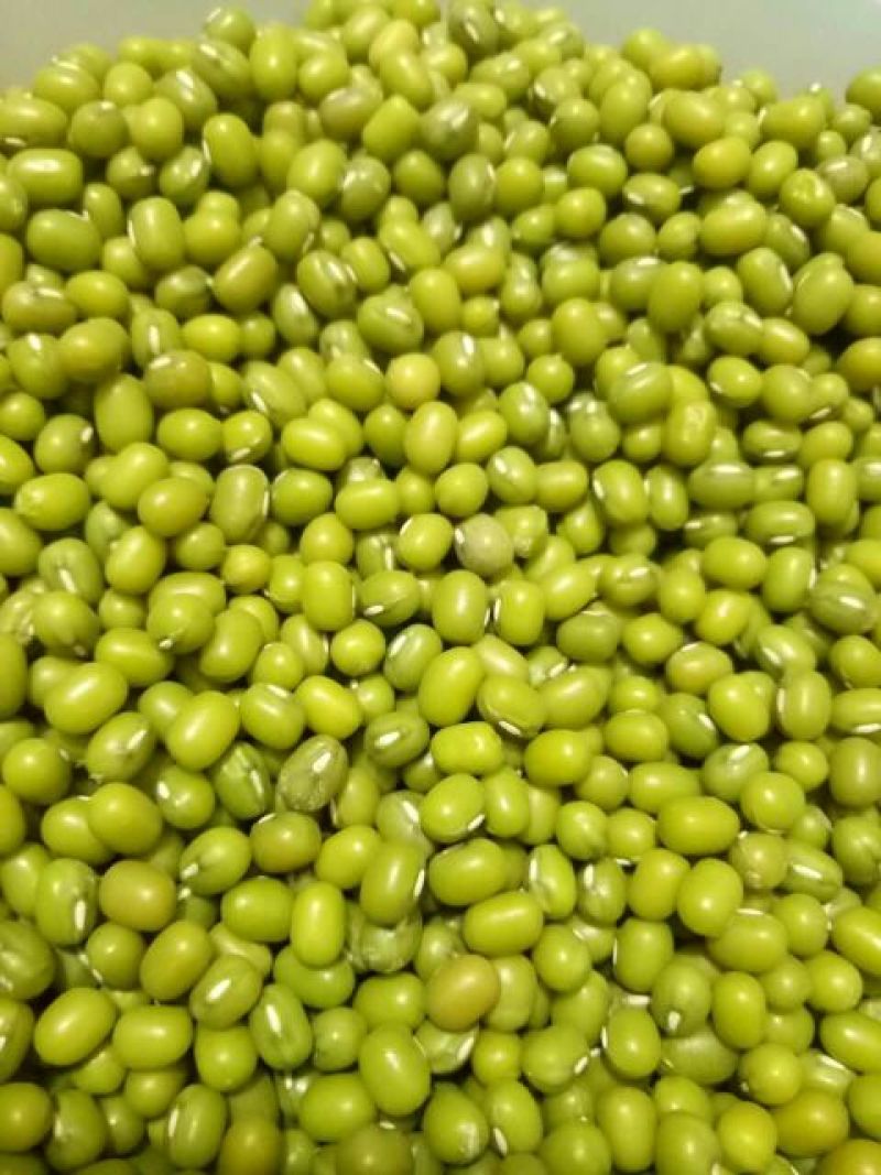 明绿豆袋装