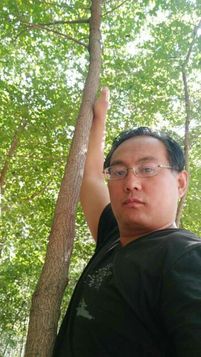 优质五角枫小苗，3-8公分精品五角枫，占地五角枫