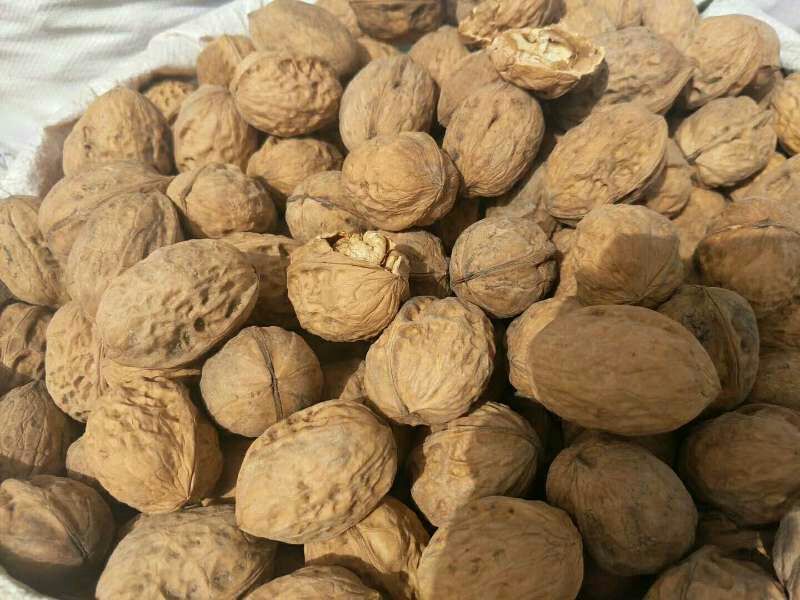 薄皮核桃去皮干