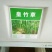 墨西哥玉米草种牧草种籽四季养殖多年生再生进口猪牛羊兔畜禽