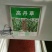 墨西哥玉米草种牧草种籽四季养殖多年生再生进口猪牛羊兔畜禽