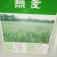 台湾甜象草种子多年生牧草种子皇竹草四季常青高产猪牛羊鱼草