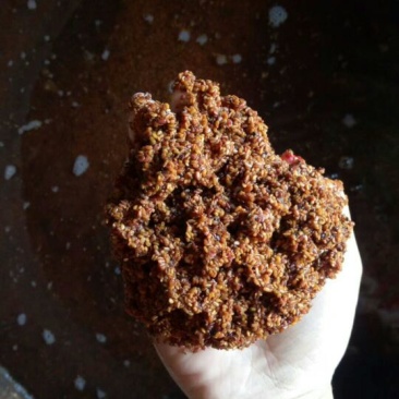 刺老包种子，刺嫩芽种子，，，，，，，，，，，