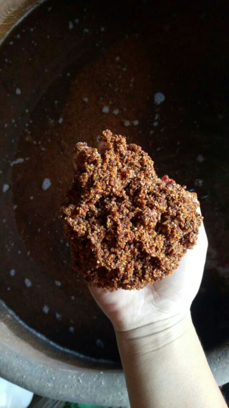 刺老包种子，刺嫩芽种子，，，，，，，，，，，
