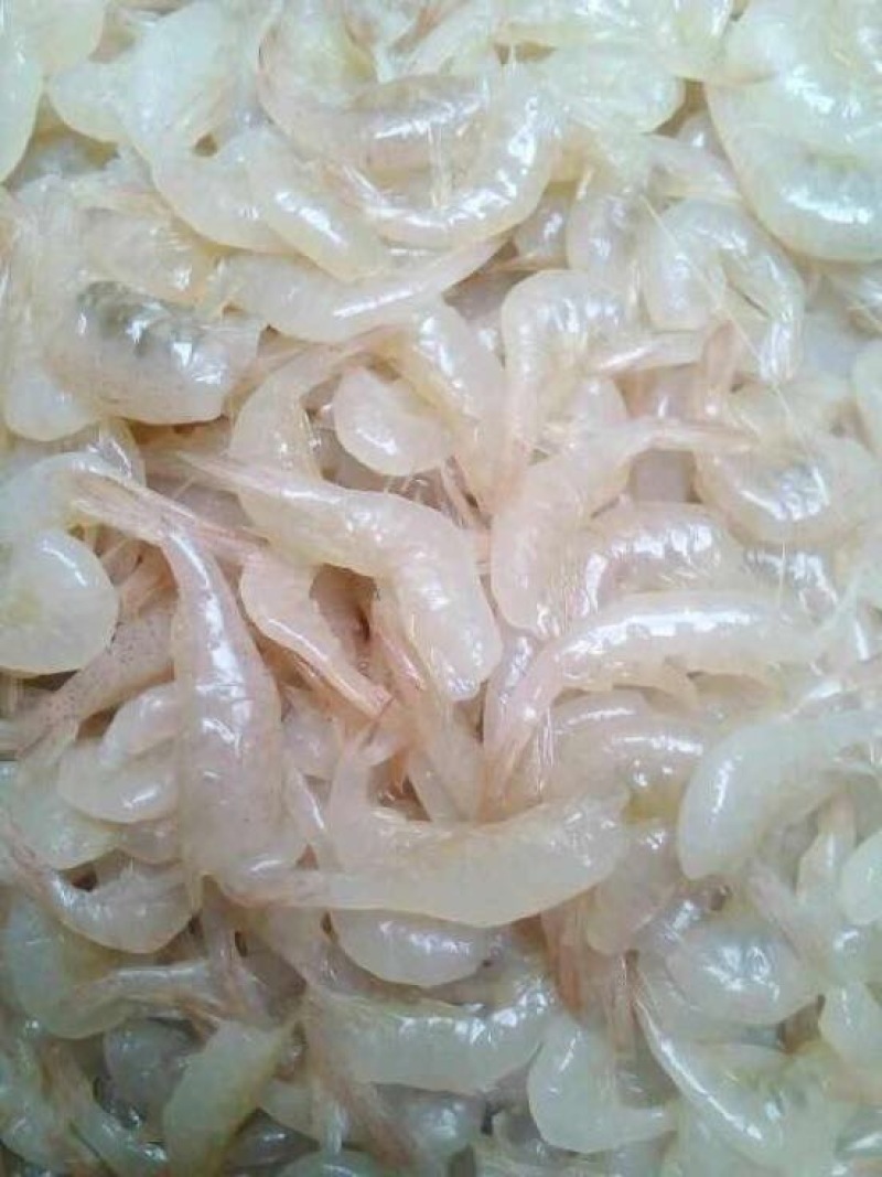 河虾尾