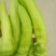 青椒5cm以上