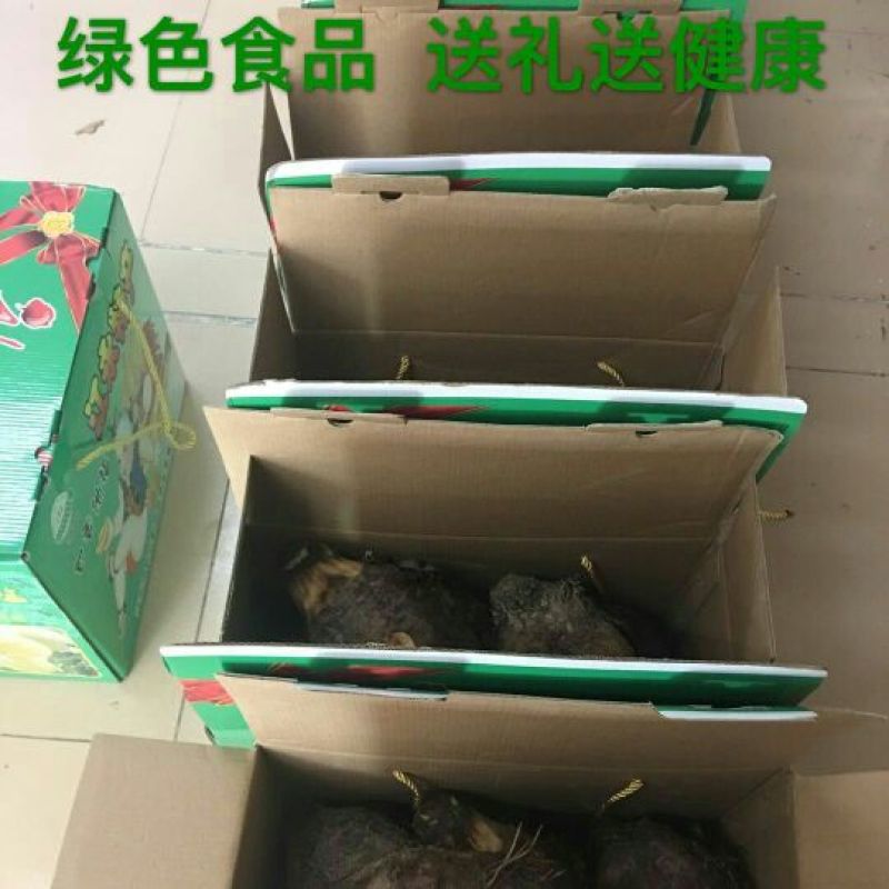 槟榔芋4厘米以上