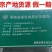 槟榔芋4厘米以上