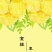 金丝皇菊茶特级