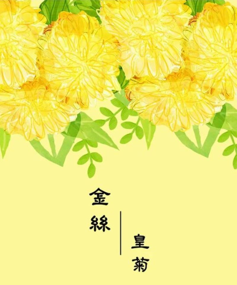 金丝皇菊茶特级