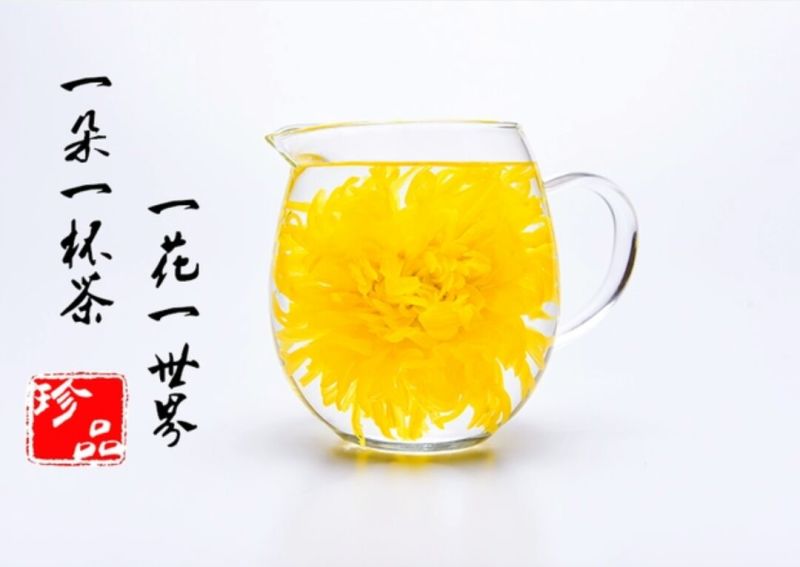 金丝皇菊茶特级