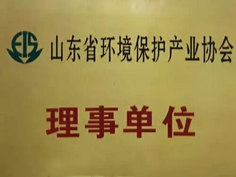 大量出售桃树苗黑桃苗适合全国种植50~60cm