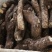 山药4~6厘米20厘米以下一级通货