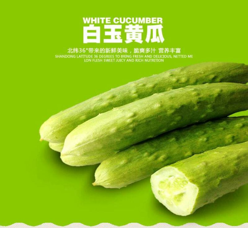 白黄瓜干花带刺18公分以下