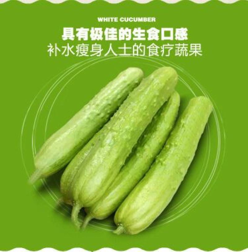 白黄瓜干花带刺18公分以下