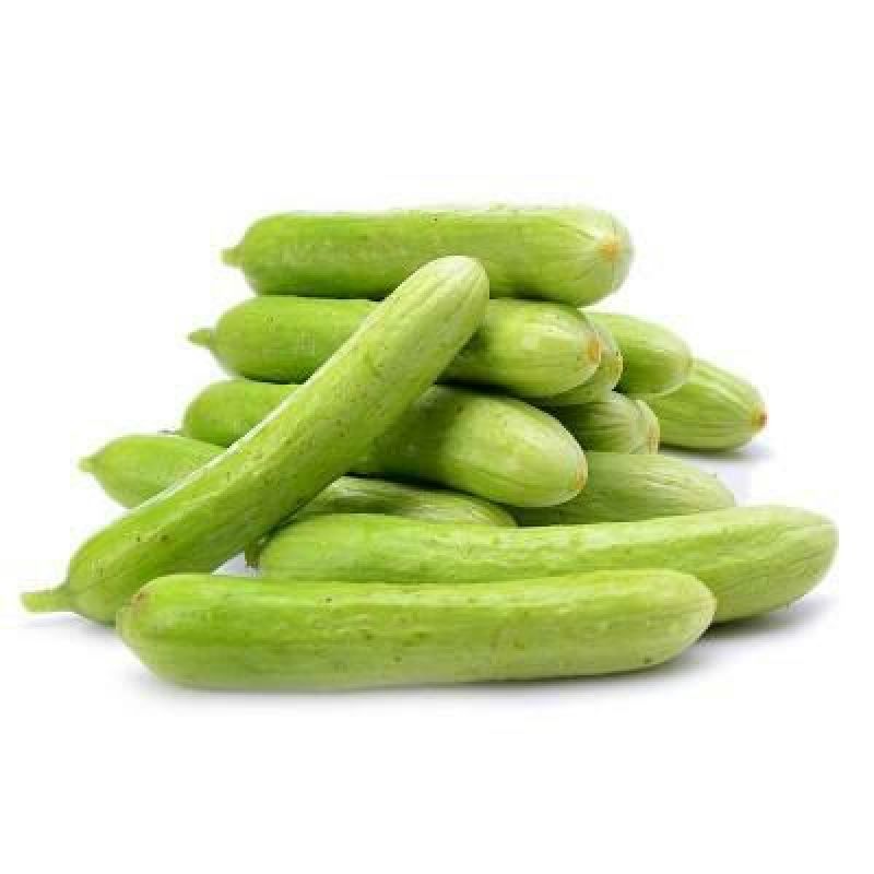 白黄瓜干花带刺18公分以下