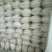 常年供应白萝卜规格齐全基地发货品质保证欢迎联系