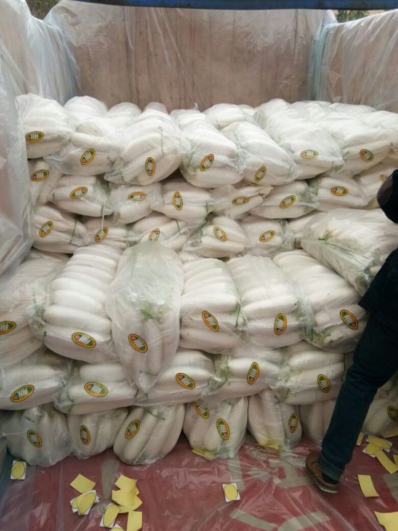 常年供应白萝卜规格齐全基地发货品质保证欢迎联系