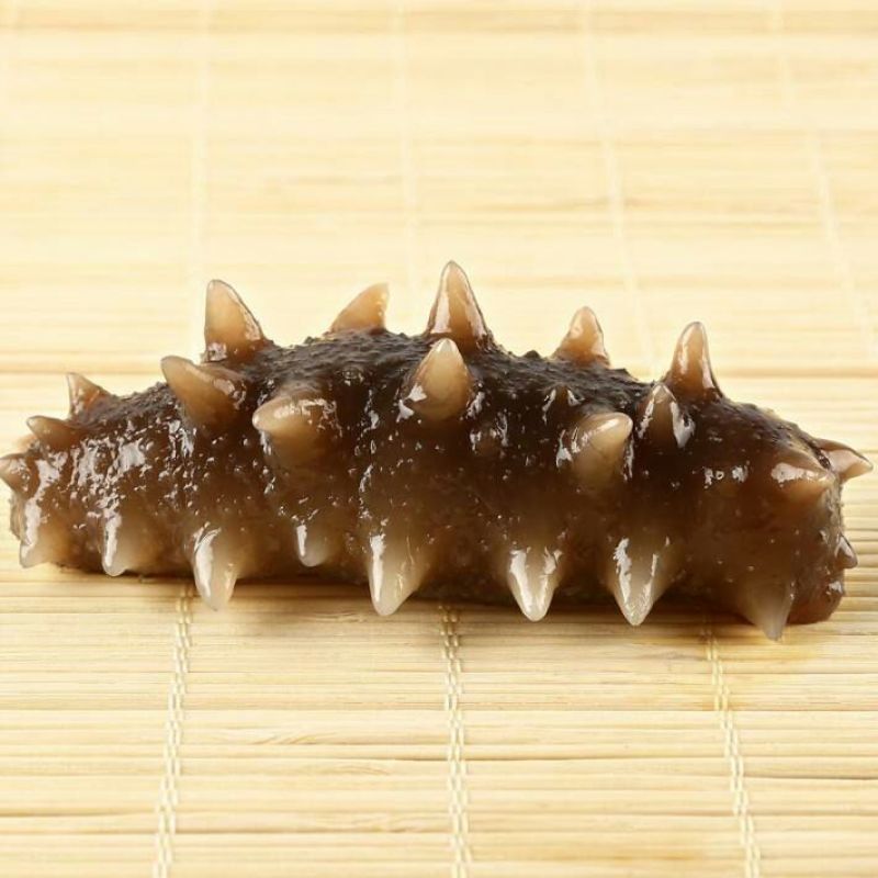 黑海参食用鲜活