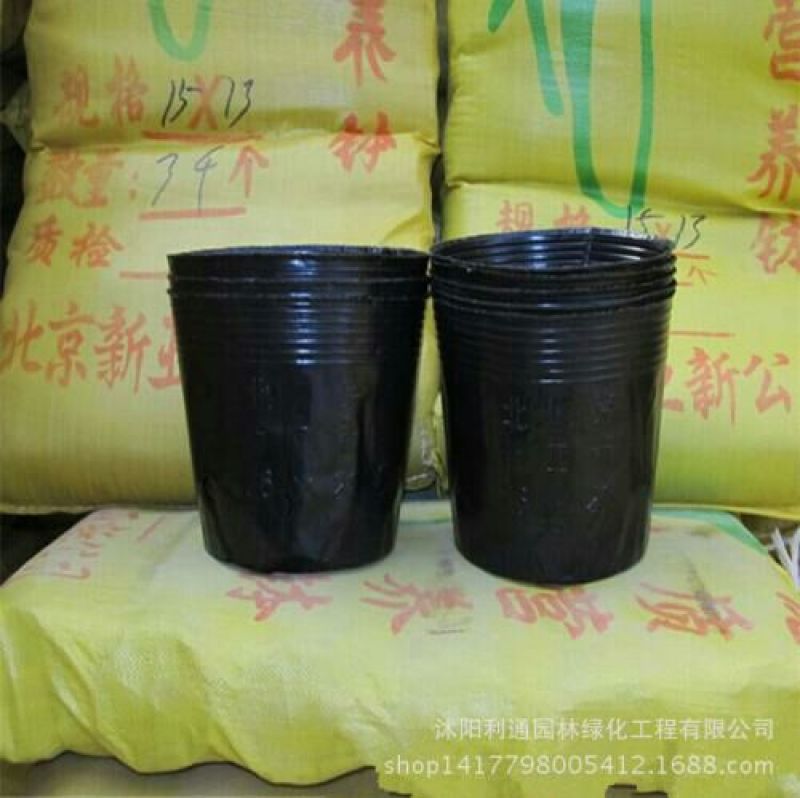 花盆花盆营养钵育苗袋营养袋营养杯育苗盆种植穴