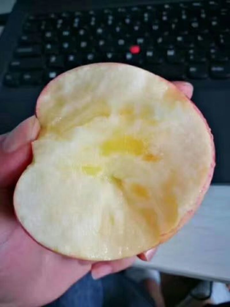 苹果甘肃庆阳红富士