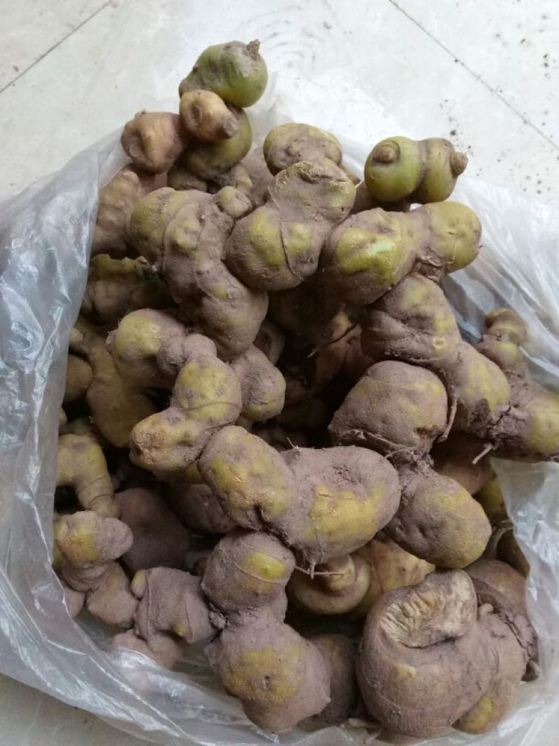 黄精甜统个