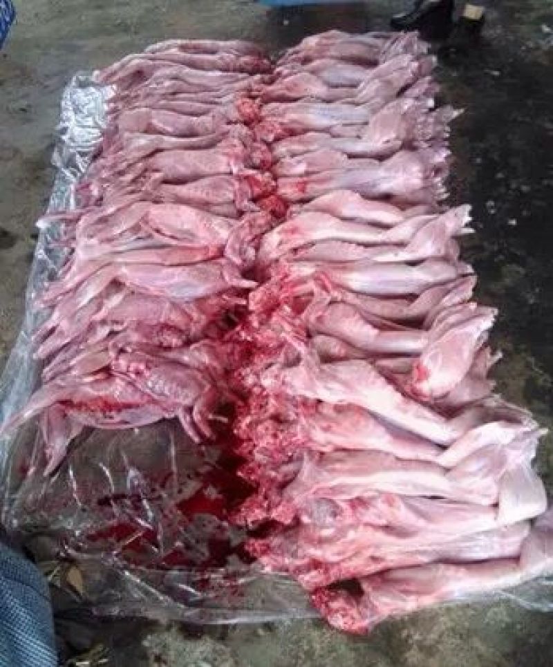 兔肉食用3~5驴肉新鲜正宗生鲜驴肉新鲜散养真空包装