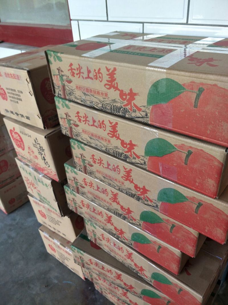 红富士（烟富3号）大量火爆销售中！一件代发
