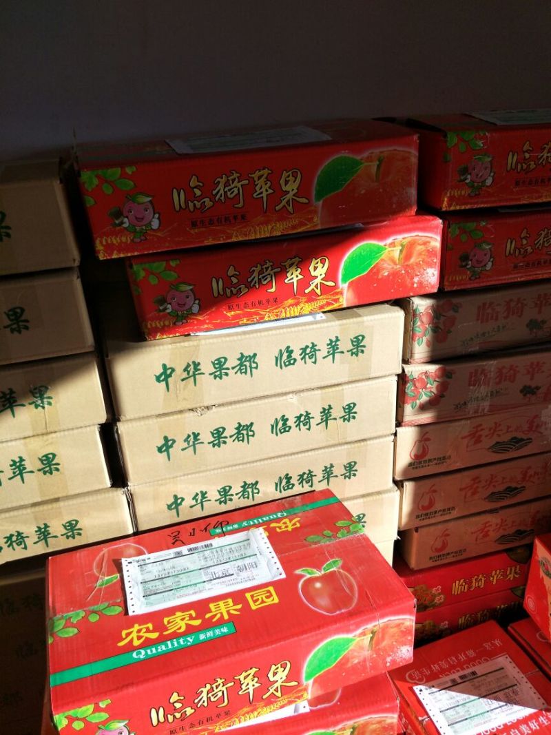 红富士（烟富3号）大量火爆销售中！一件代发