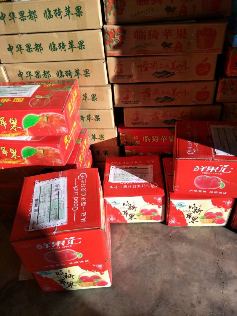 红富士（烟富3号）大量火爆销售中！一件代发