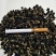 黑枸杞干货头茬