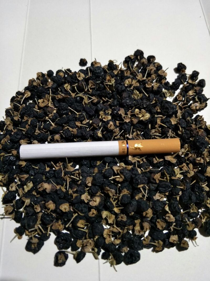 黑枸杞干货头茬