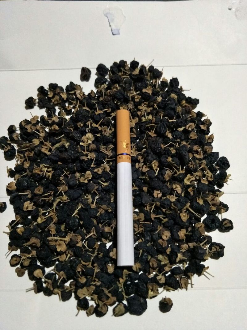 黑枸杞干货头茬