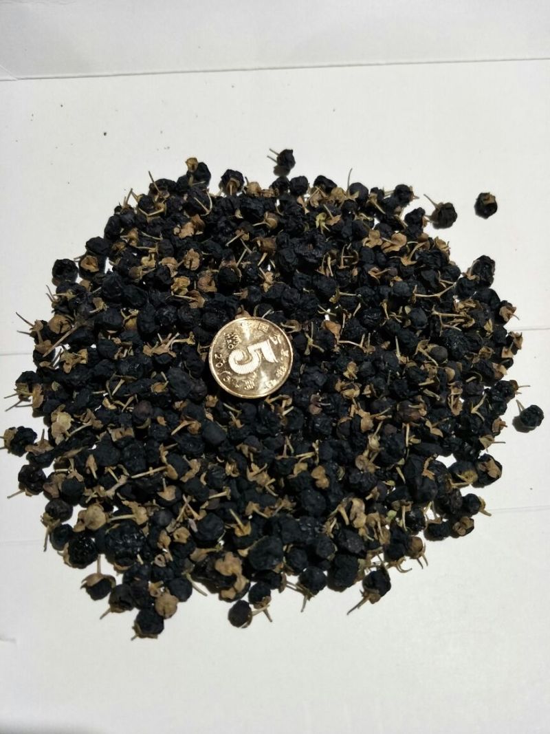 黑枸杞干货头茬