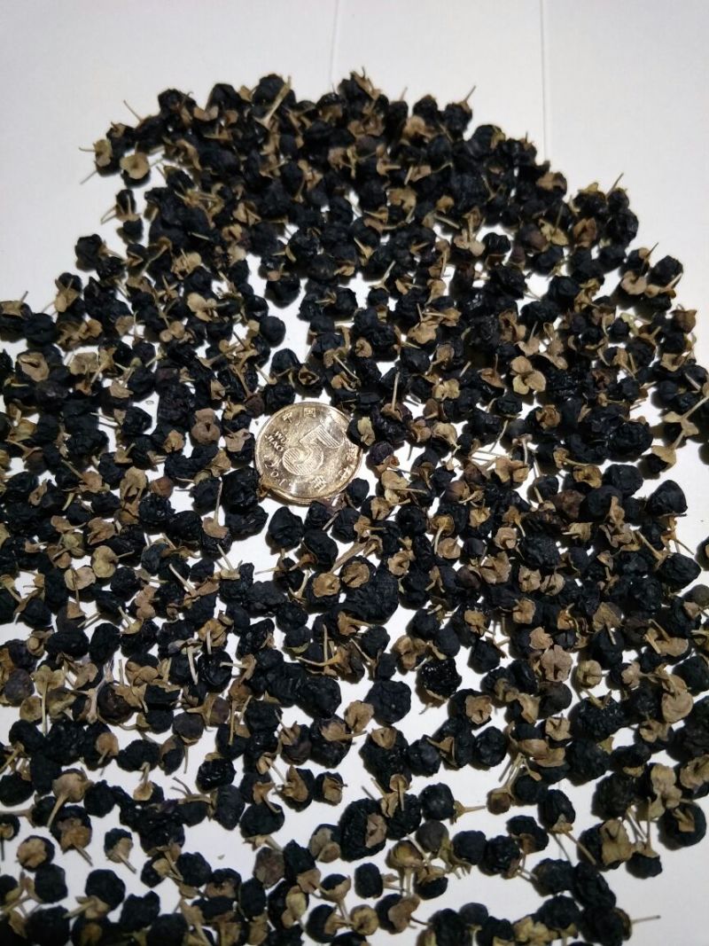 黑枸杞干货头茬