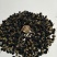 黑枸杞干货头茬